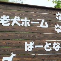 老犬ホームパートナー看板